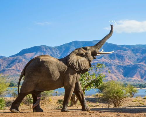 Kind im weißen Kittel hält Reagenzgläser